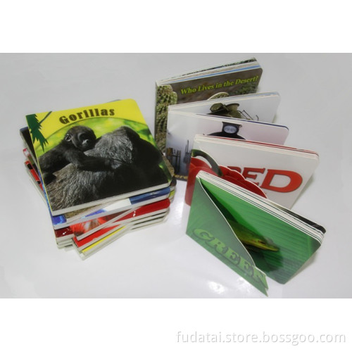 Children Learn board book